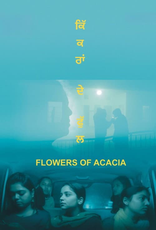 Flowers of Acacia afişi