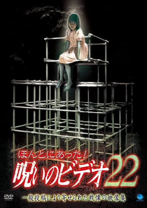 ほんとにあった! 呪いのビデオ 22 afişi