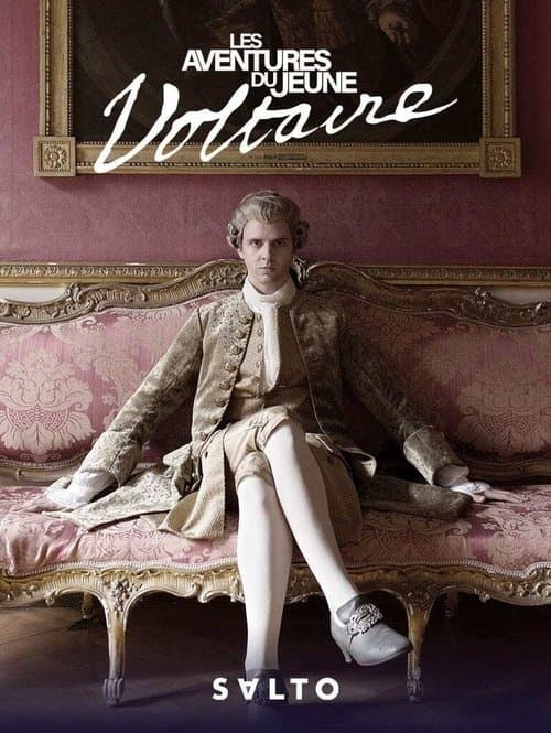 Les Aventures du jeune Voltaire afişi