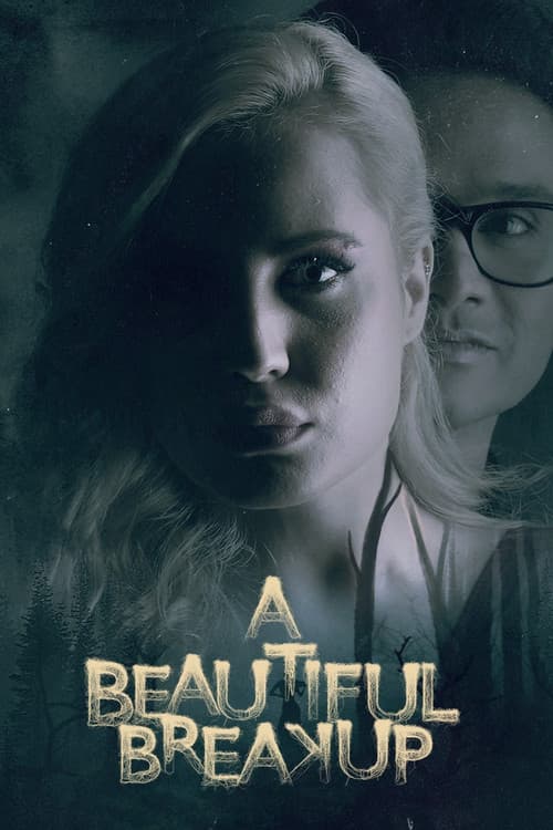 A Beautiful Breakup afişi