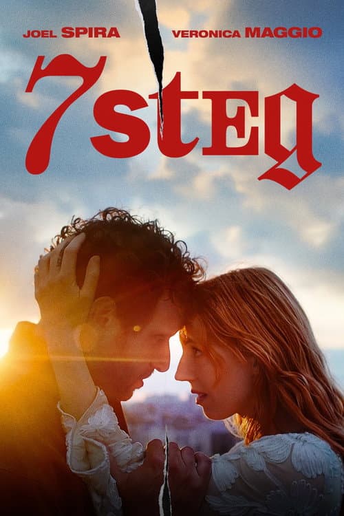 7 steg afişi