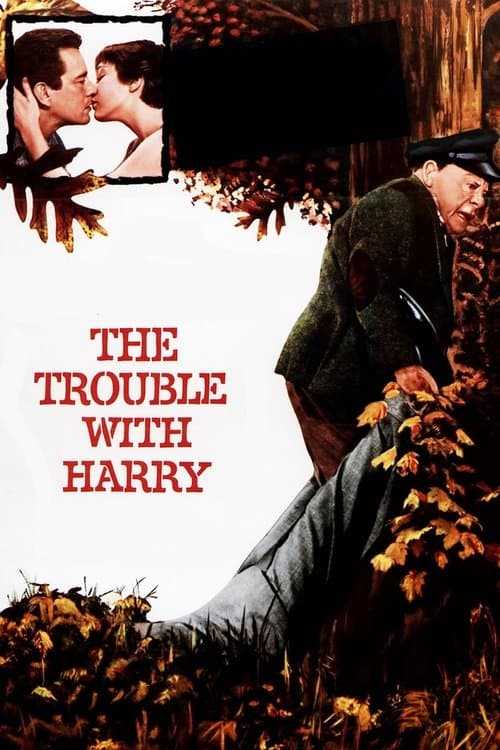 Harry'nin Derdi afişi