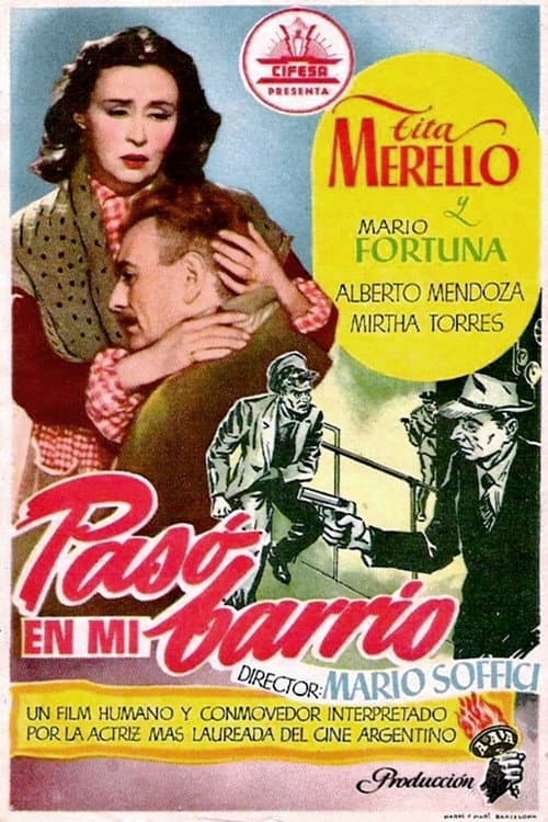 Pasó en mi barrio afişi