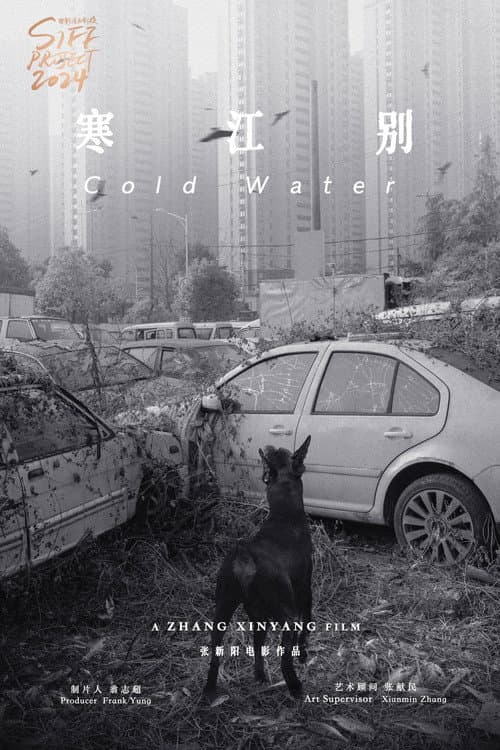 Panda afişi
