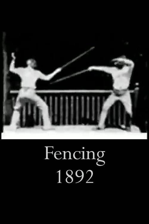 Fencing afişi