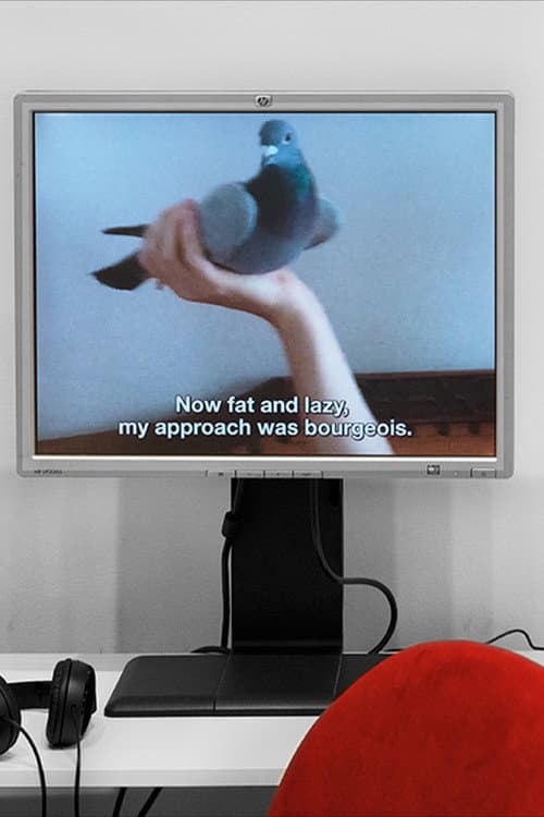 BOB LIFE afişi