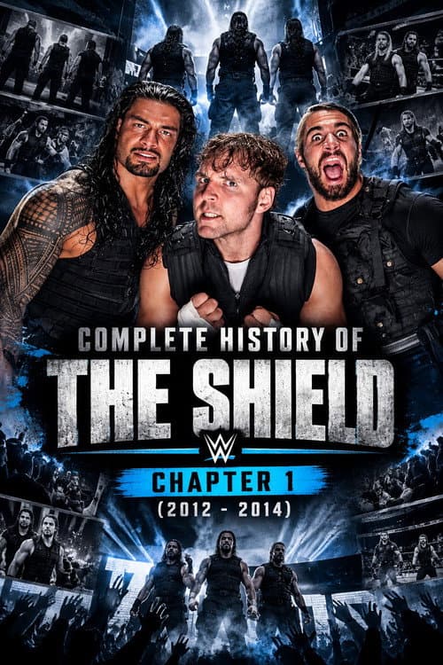 Complete History of The Shield - Chapter 1 afişi