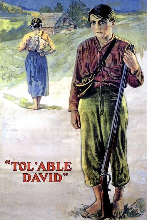 Tol'able David afişi