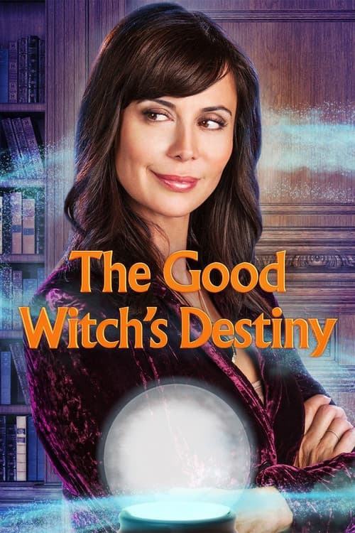 The Good Witch's Destiny afişi