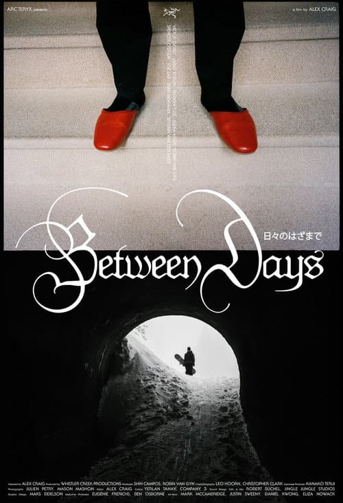 Between Days afişi