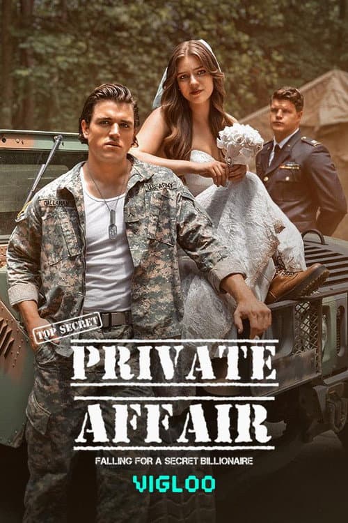 Private Affair afişi