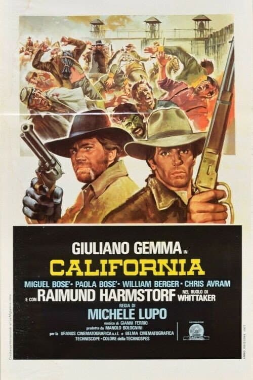 California afişi