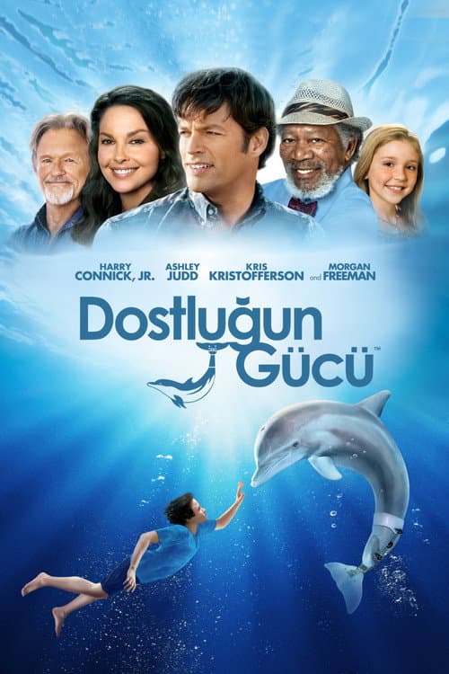 Dostluğun Gücü afişi