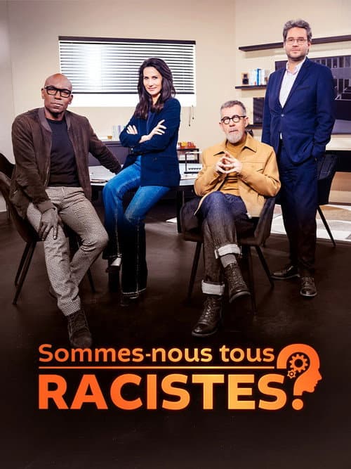 Sommes-nous tous racistes ? afişi