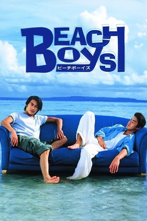 Beach Boys afişi