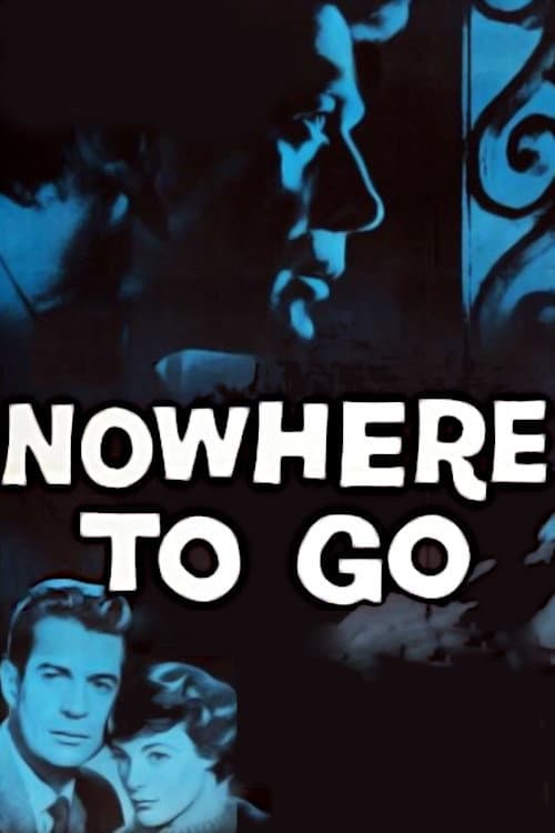 Nowhere to Go afişi
