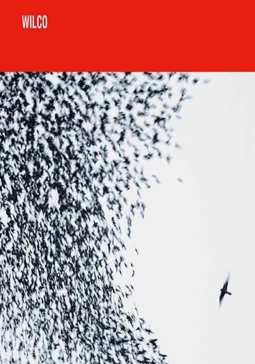 Wilco: Shake It Off afişi