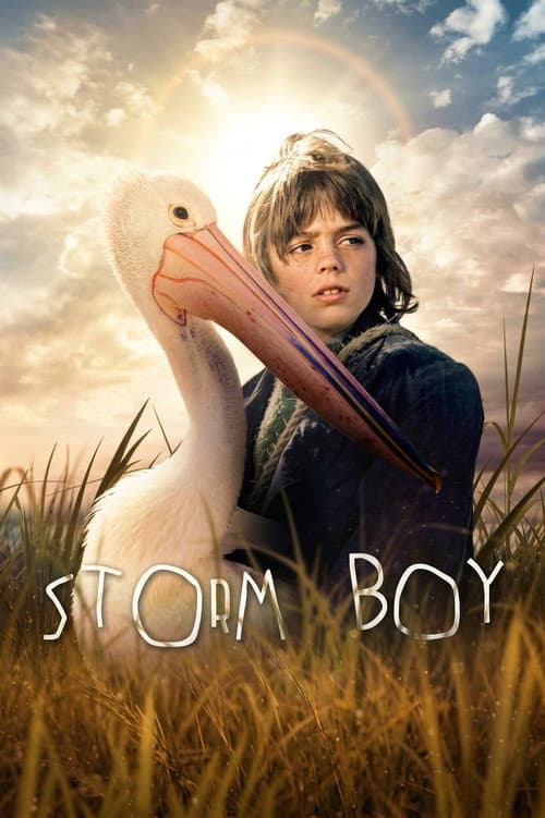 Storm Boy afişi
