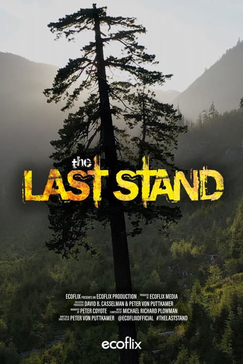 The Last Stand afişi