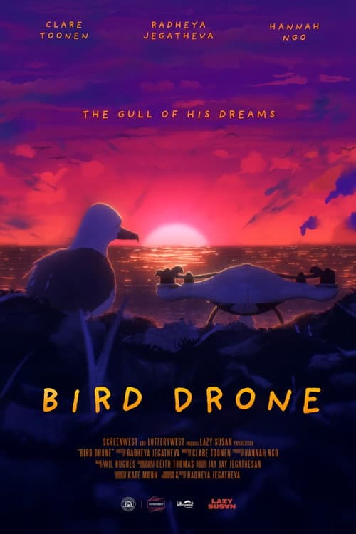 Bird Drone afişi