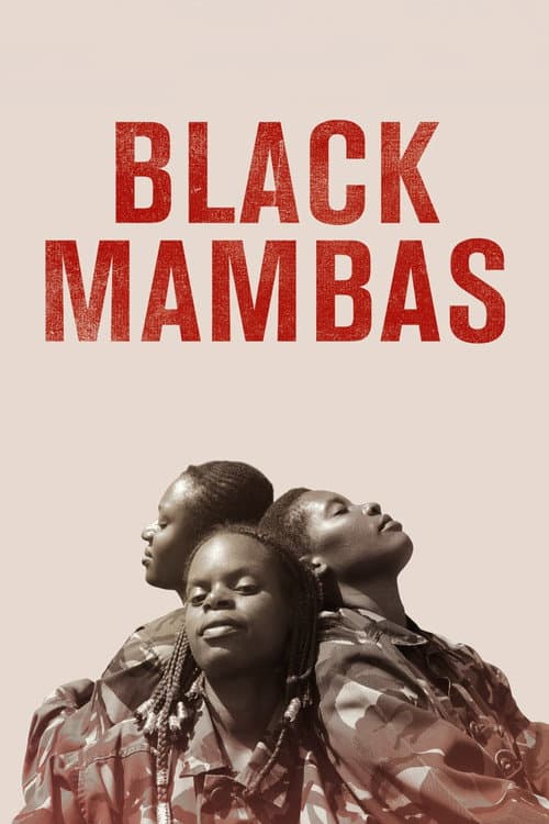 Black Mambas afişi