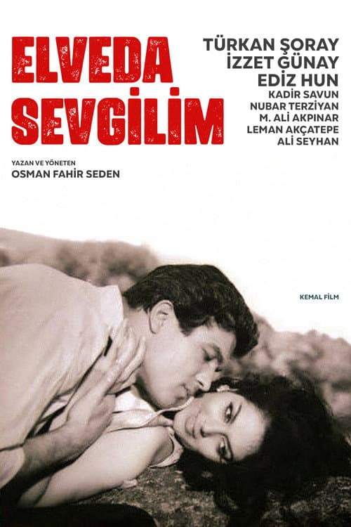 Elveda Sevgilim afişi
