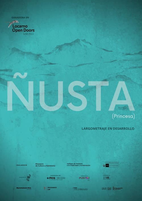 Ñusta afişi