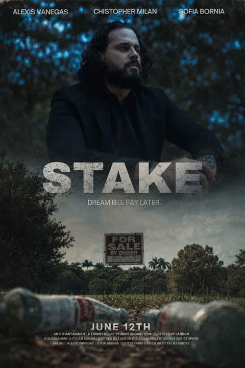 Stake afişi