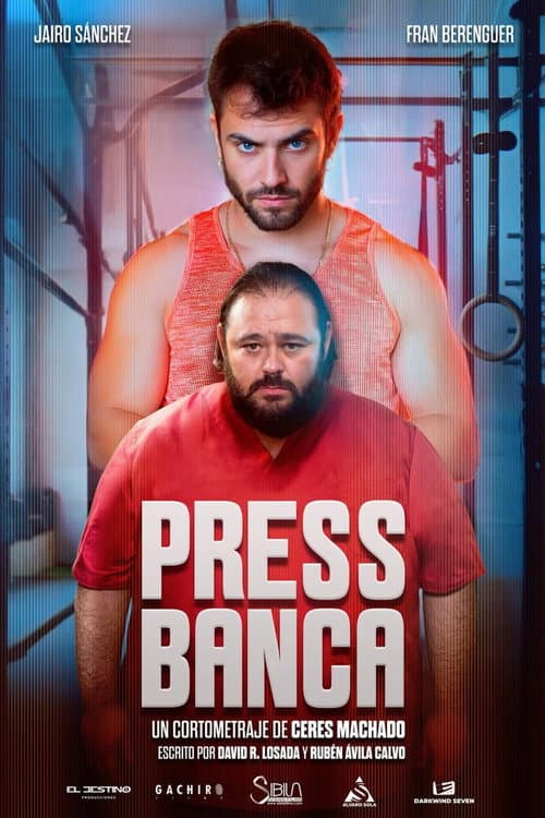 Press Banca afişi