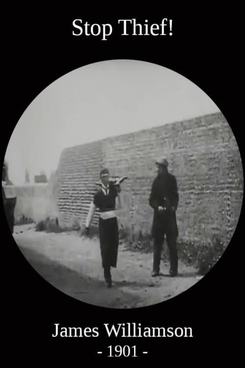 Stop Thief! afişi