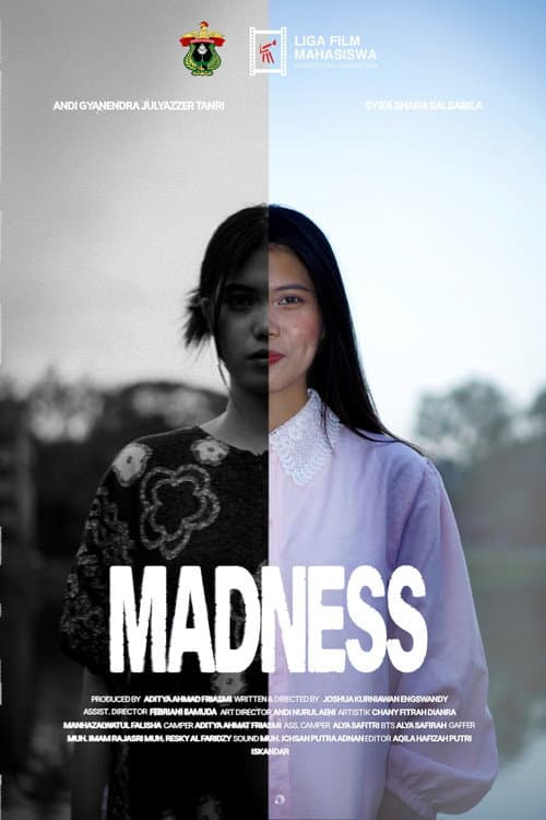 Madness afişi