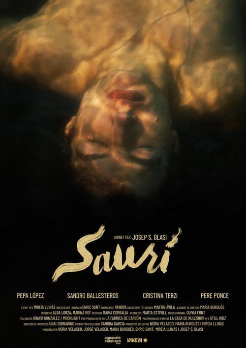 Saurí afişi