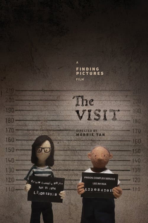 The Visit afişi