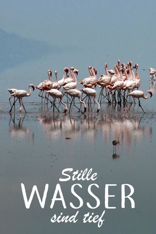 Stille Wasser afişi