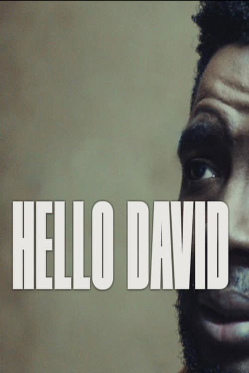 Hello David afişi