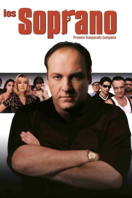 The Sopranos: Season 1 afişi