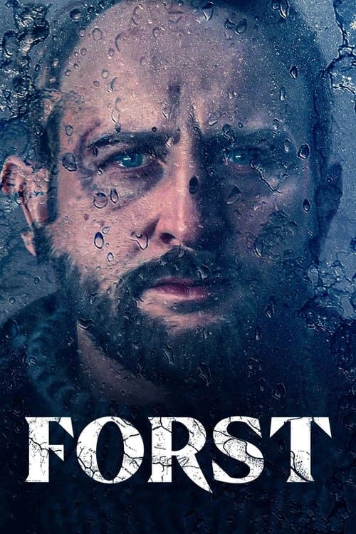 Dedektif Forst afişi