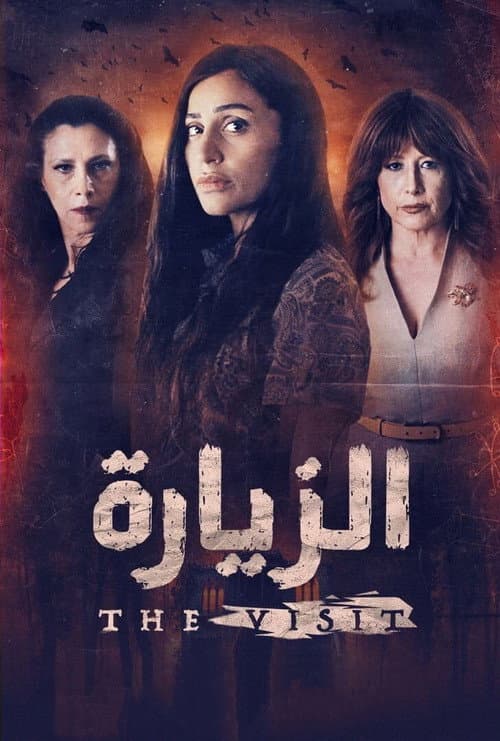 THE VISIT afişi