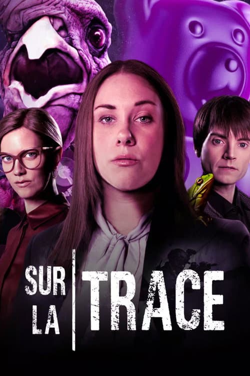 Sur la trace afişi