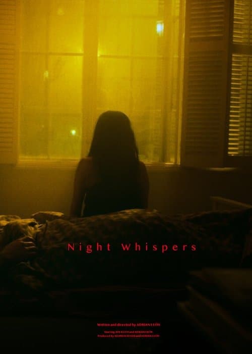 Night Whispers afişi