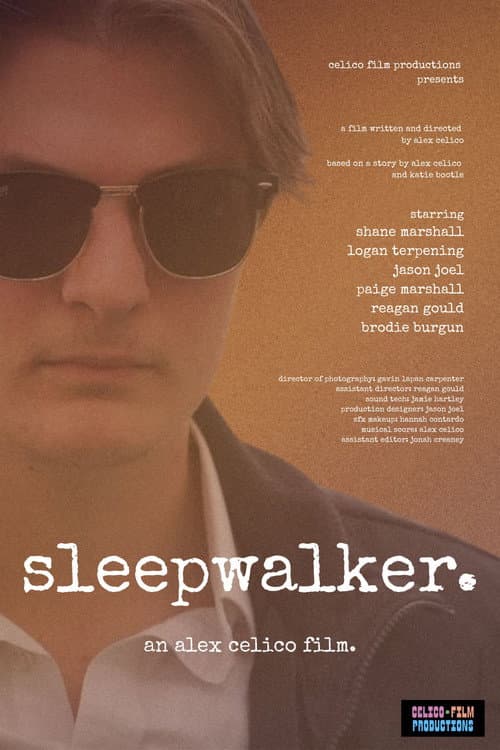 Sleepwalker afişi