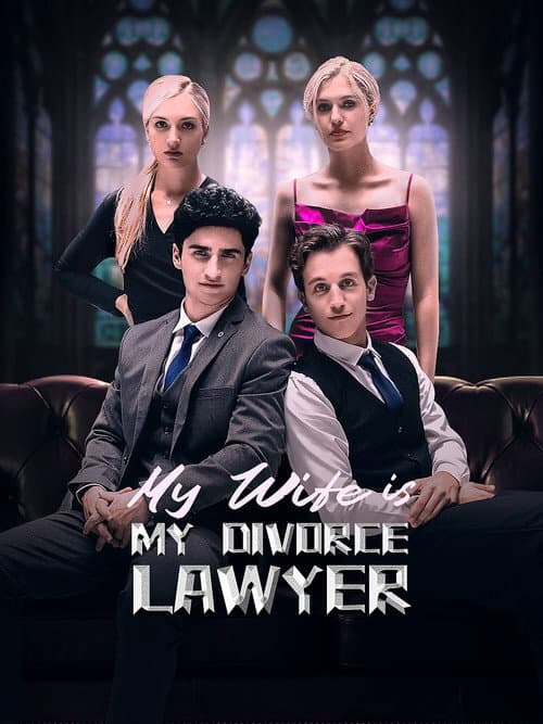 My Wife is My Divorce Lawyer afişi