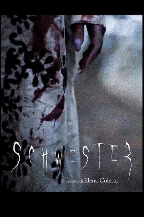 Schwester afişi