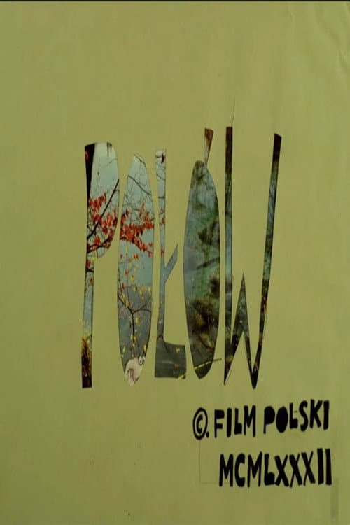 Połów afişi