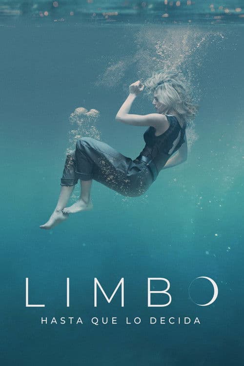 LIMBO... Until I Decide afişi