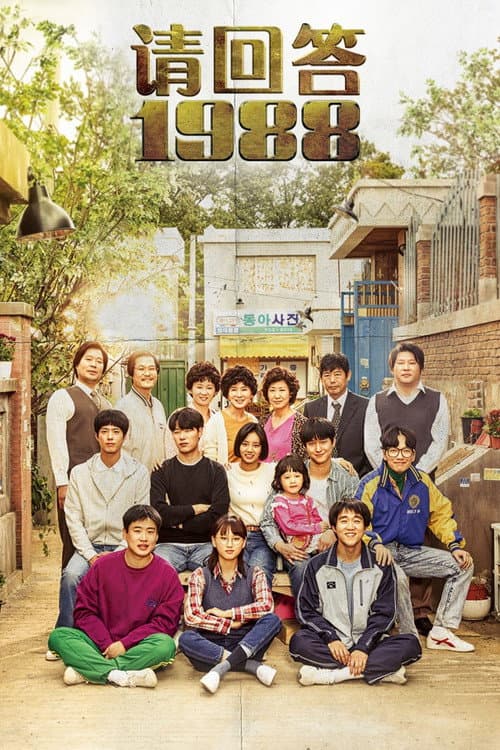 请回答1988 afişi