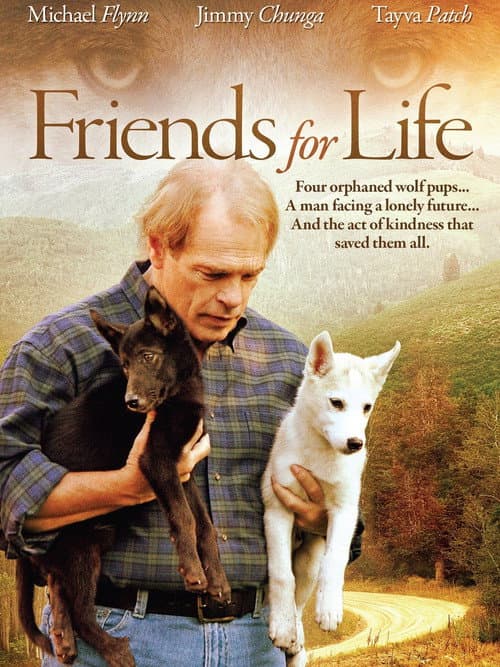 Friends for Life afişi