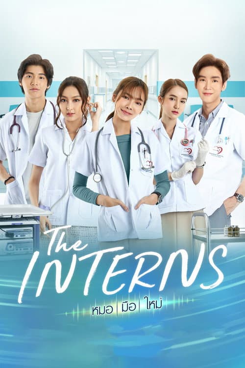 The Interns afişi