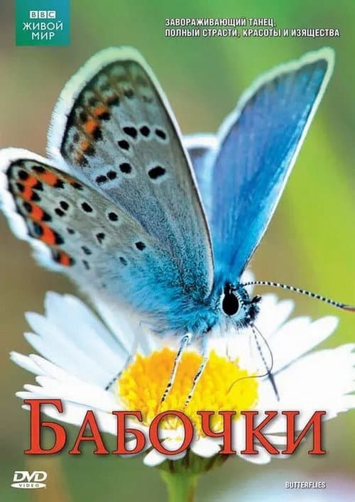 Butterflies: A Very British Obsession afişi