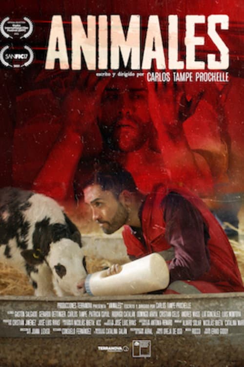 Animales afişi